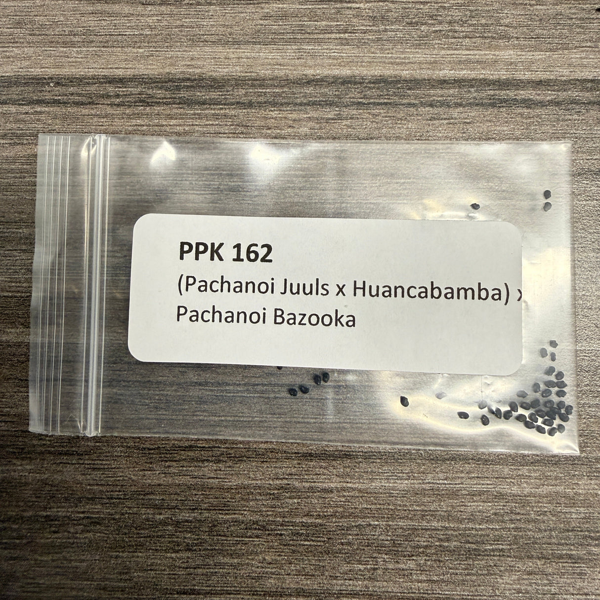 PPK 162 - (Juuls x Huancabamba) x Bazooka - Pachanoi x Pachanoi