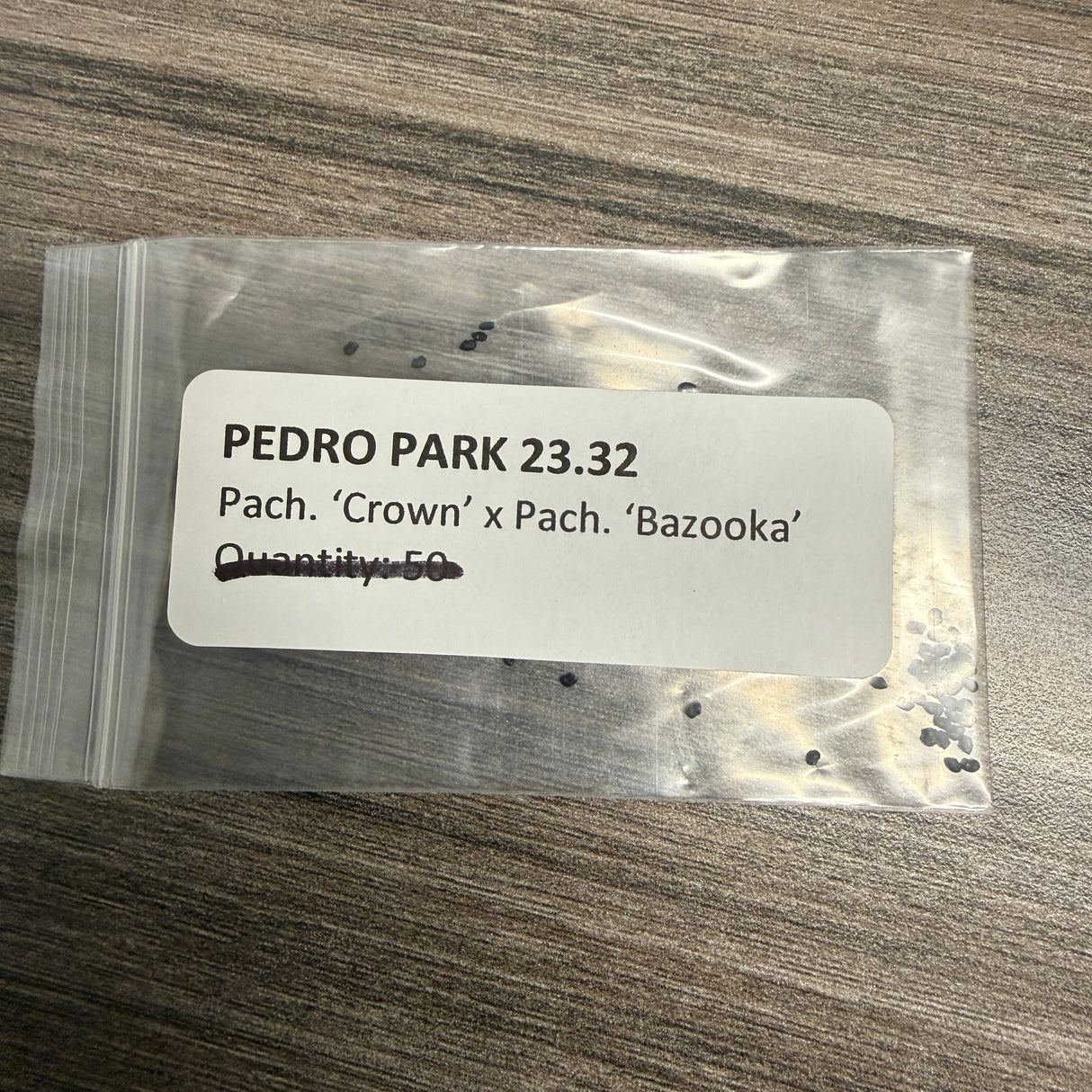 Pedro Park -'23 #32 'Crown' x 'Bazooka' - Pachanoi x Pachanoi