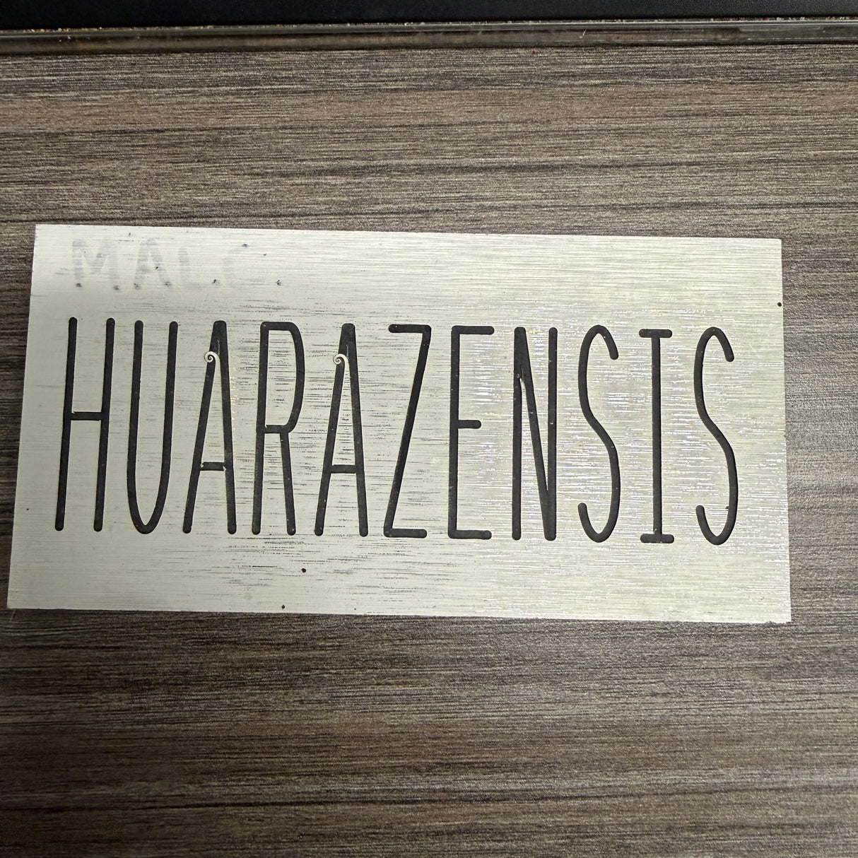 Cactus Identification Sign - 3" x 5" - Huarazensis