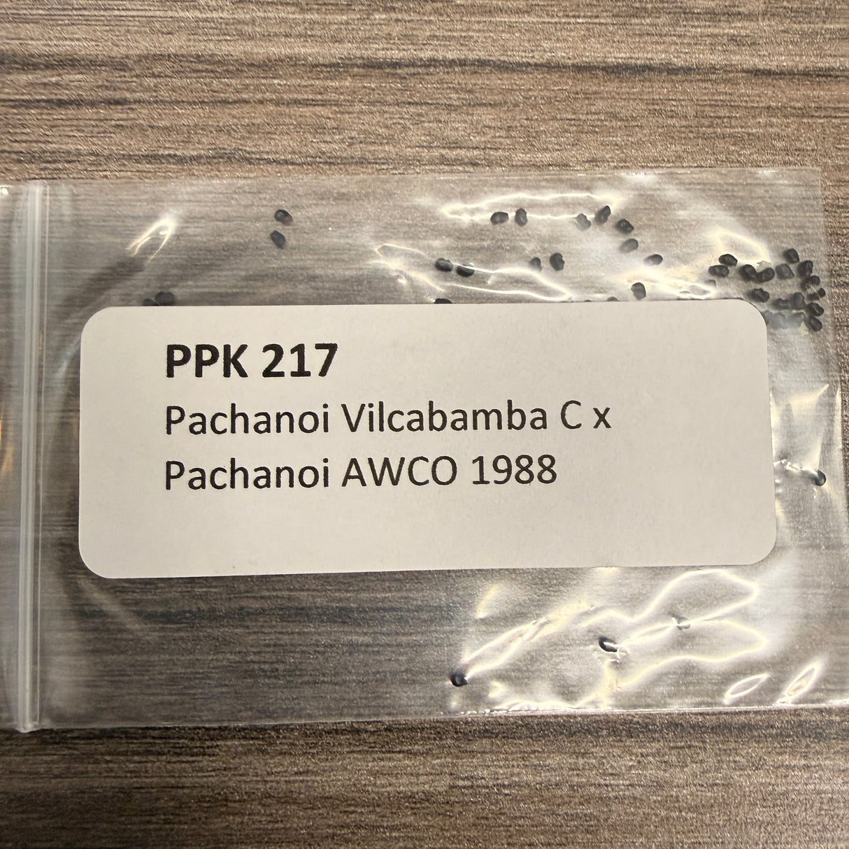 PPK 217 - Pachanoi Vilcabamba C x Pachanoi AWCO