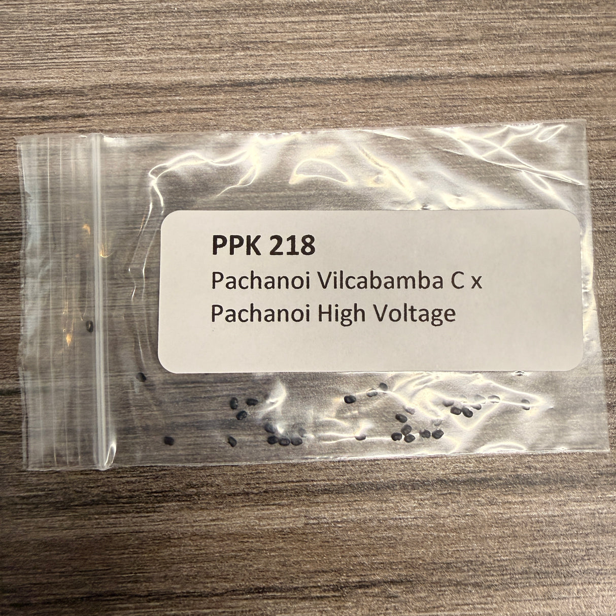 PPK 218 - Pachanoi Vilcabamba C x Pachanoi High Voltage