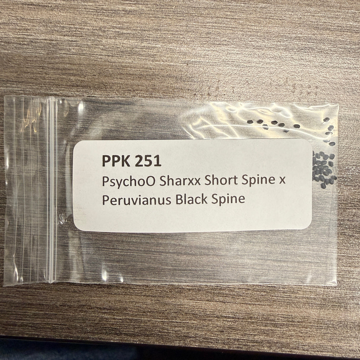 PPK 251 - PsychoO Sharxx Short Spine x Black Spine - Peruvianus x Peruvianus