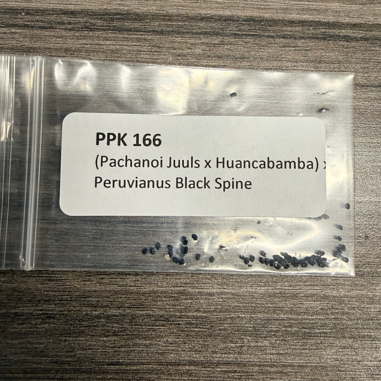 PPK 166 - Juuls x Huancabamba x Black Spine- Pachanoi x Peruvianus