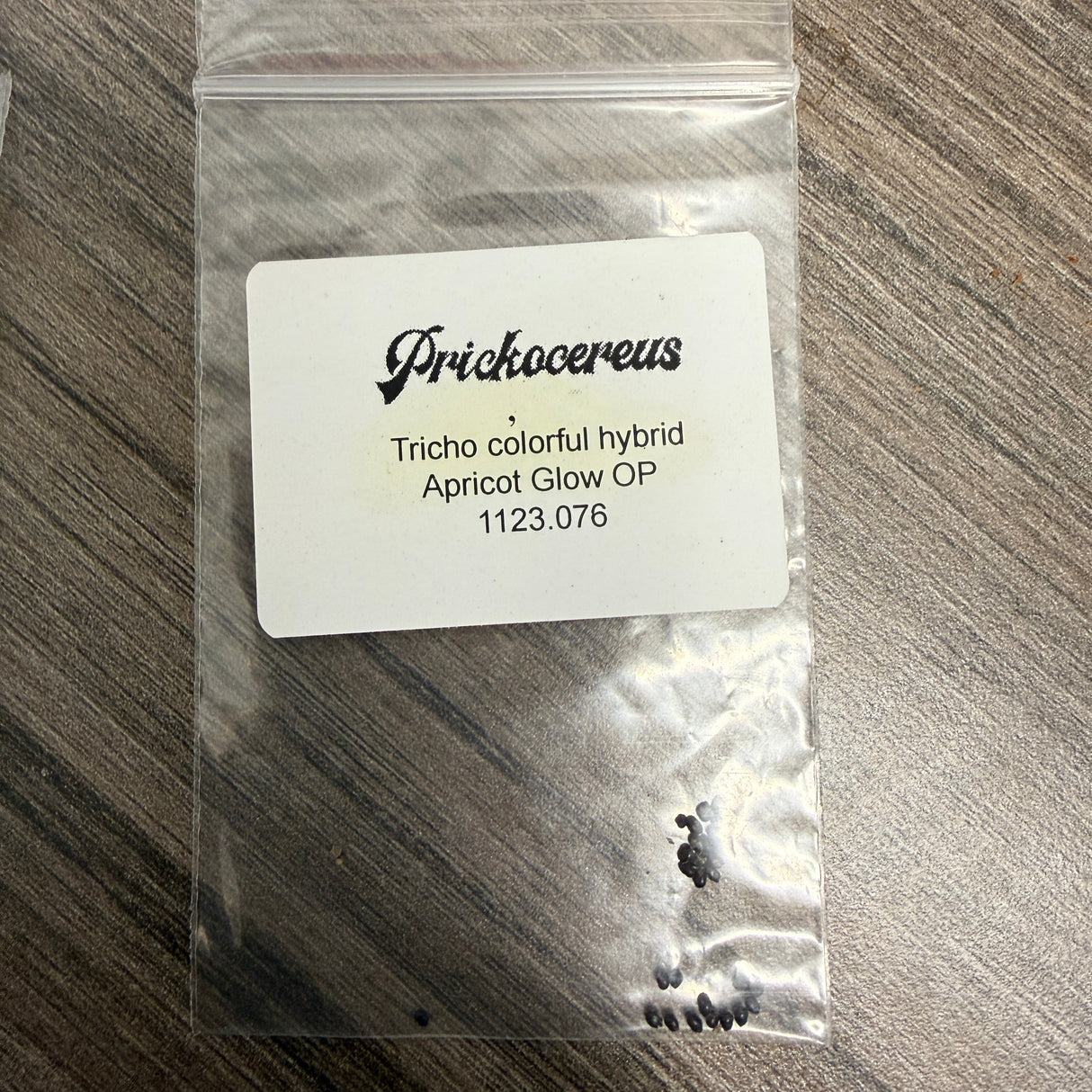 Prickocereus Seed Pack 1123.076 - Apricot Glow OP - Colorful Hybrid