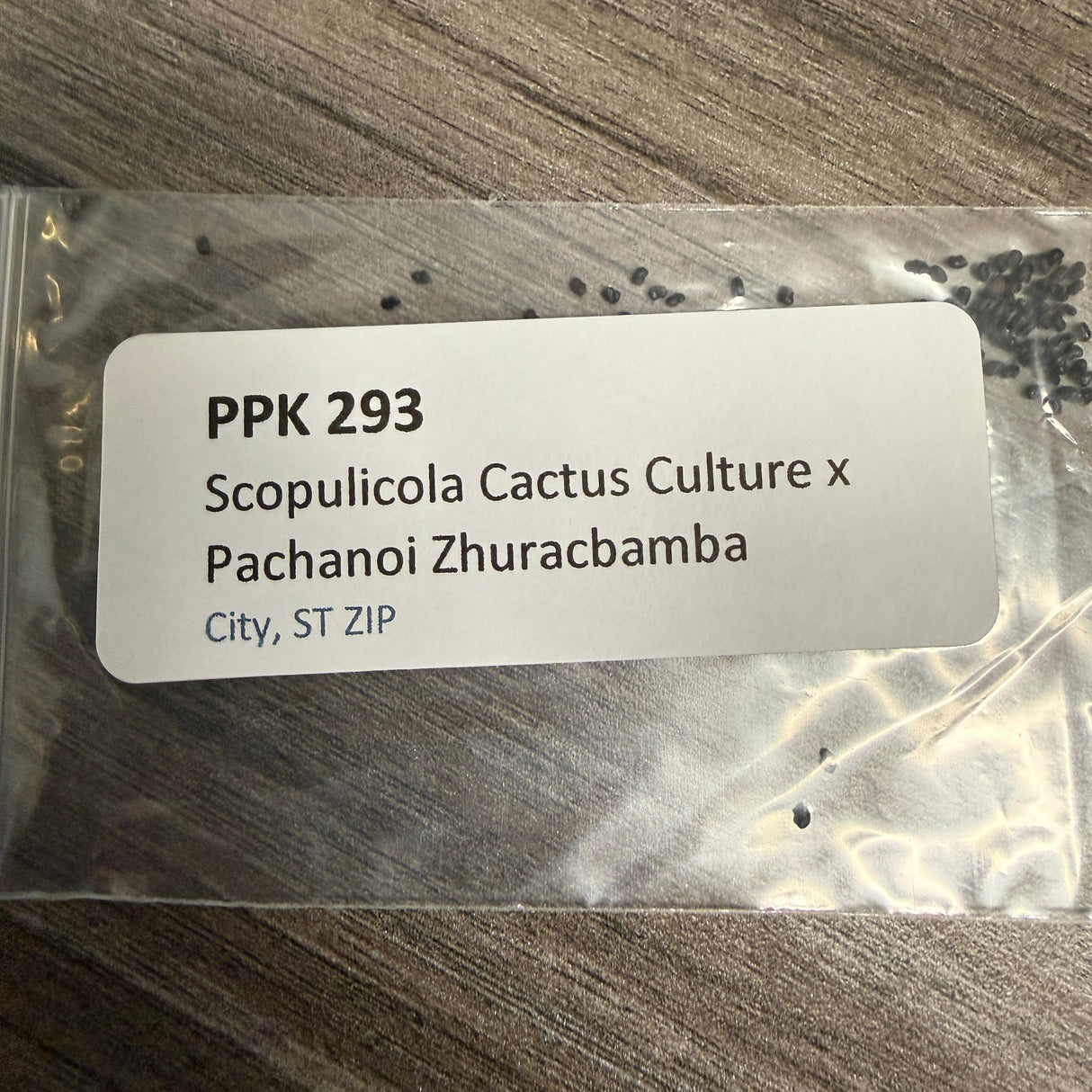 PPK 293 - Scopulicola Cactus Culture x Zhuracabamba  - Scopulicola x Pachanoi