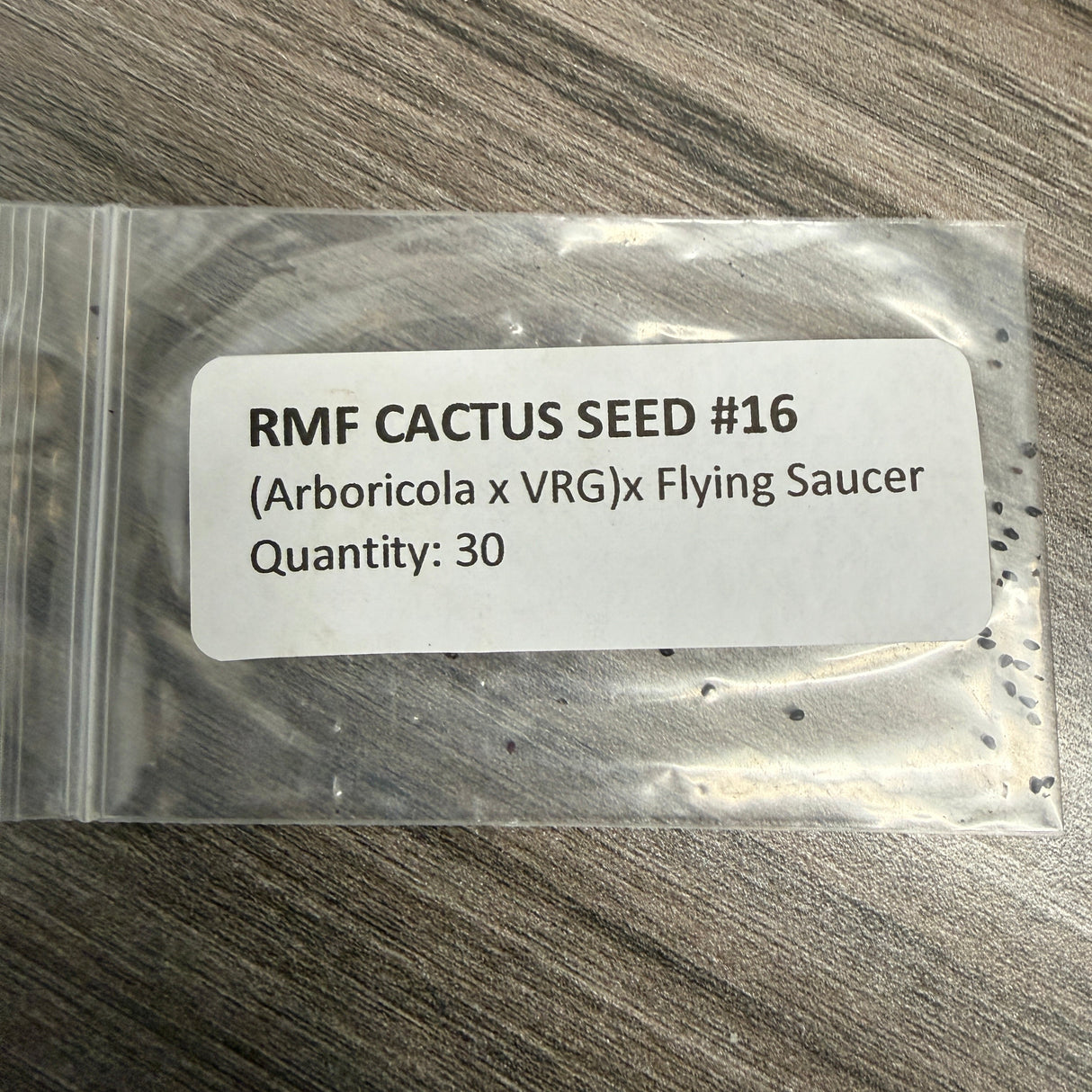 RMF Cactus #16 - (Arbicola x VRG) x Flying Saucer
