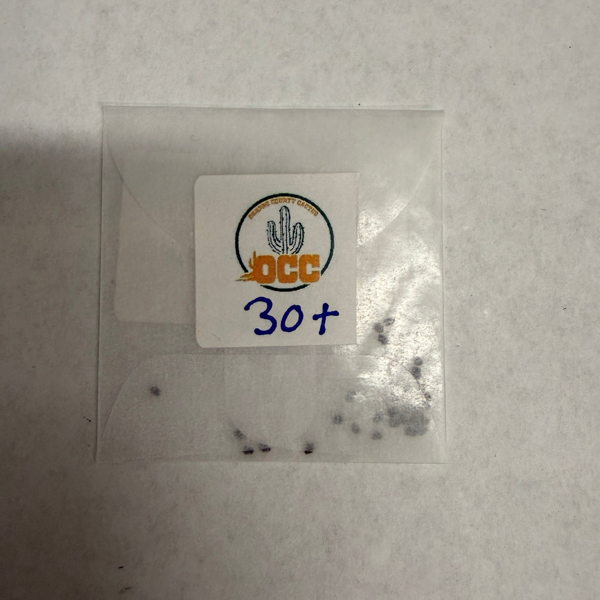 Orange County Cactus  006 - Huarazensis x Lee - Pachanoi x Bridgesii