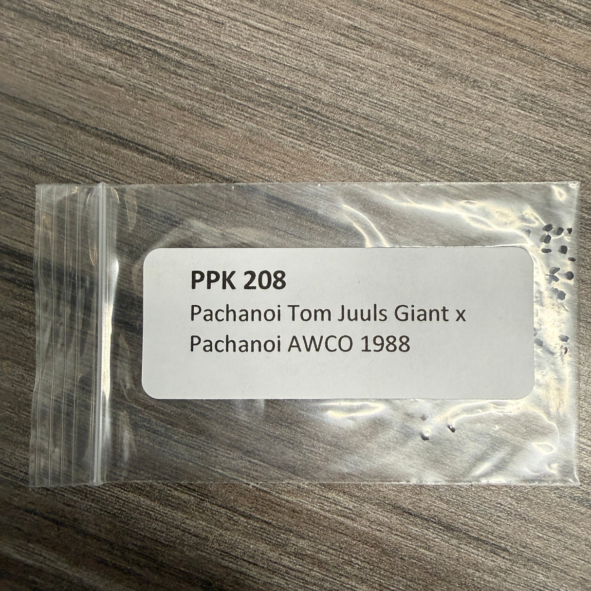 PPK 208 -  Pachanoi Tom Juuls Giant x Pachanoi AWCO 1988