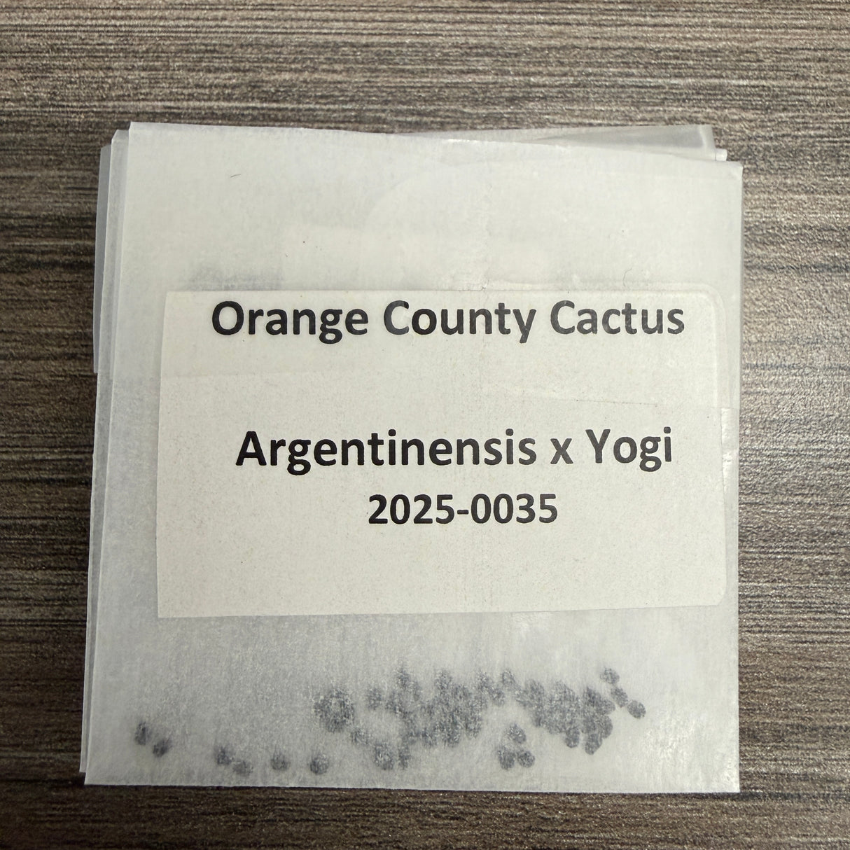 Orange County Cactus  0035 - Argentinensis x Yogi
