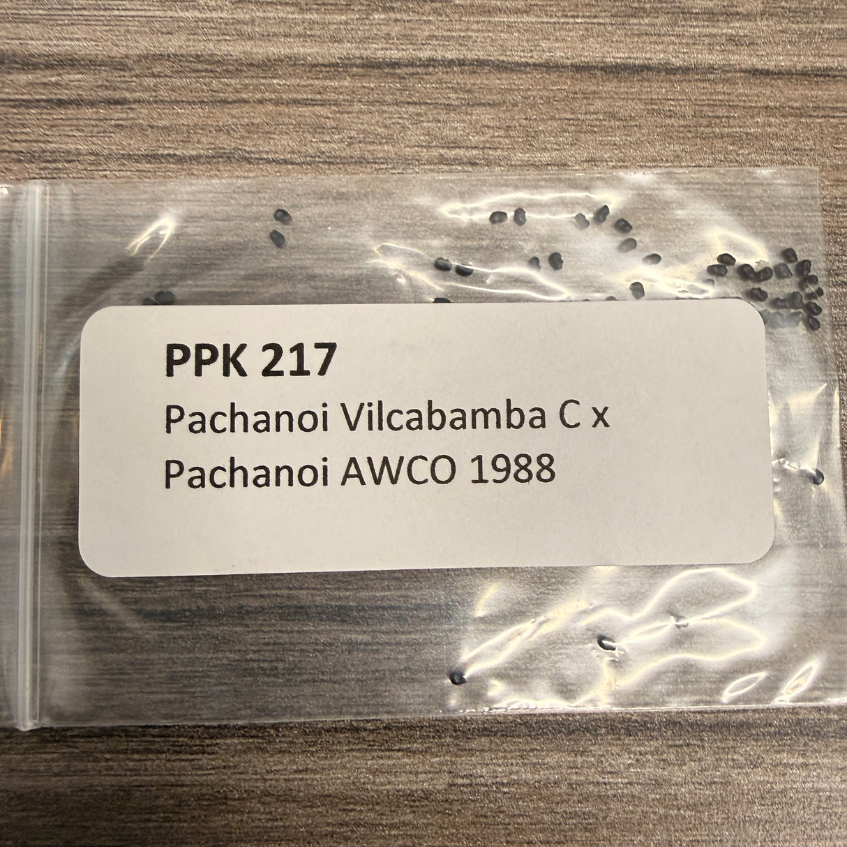 PPK 217 - Pachanoi Vilcabamba C x Pachanoi AWCO