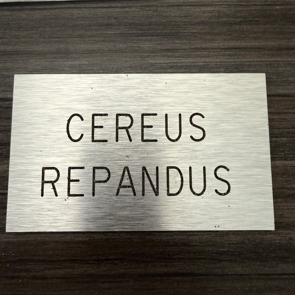 Cactus Identification Sign - 3" x 5" - Cereus Rapandis - Peruvian Apple Cactus
